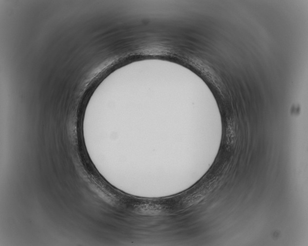 X0000096650535200803041151