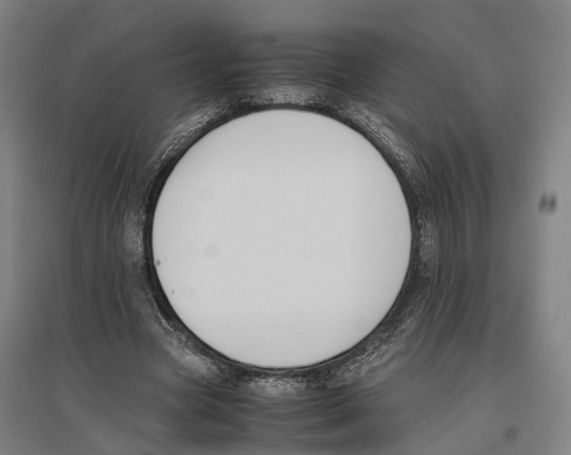 X0000096650537200803041151