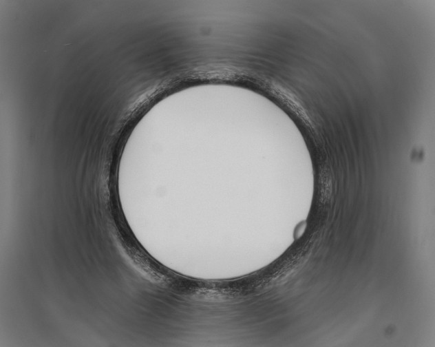 X0000096650538200803041151