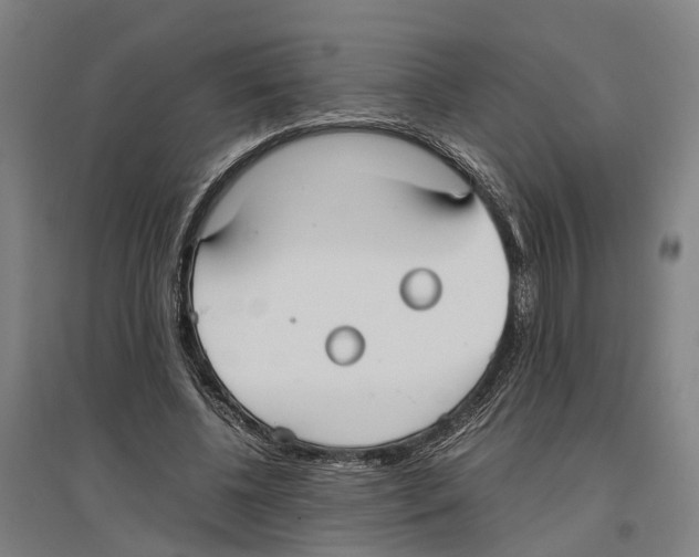 X0000096650540200803041151