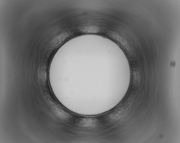 X0000096650541200803041151