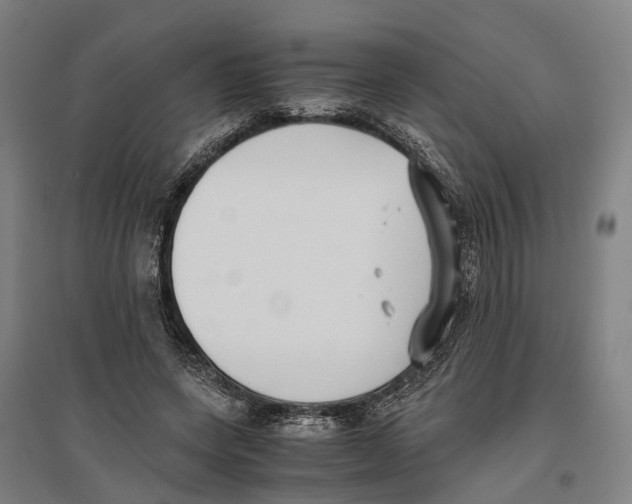 X0000096650543200803041151