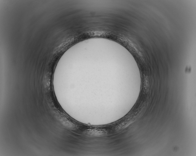 X0000096650545200803041151