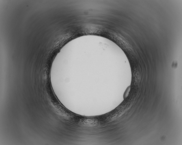 X0000096650546200803041151