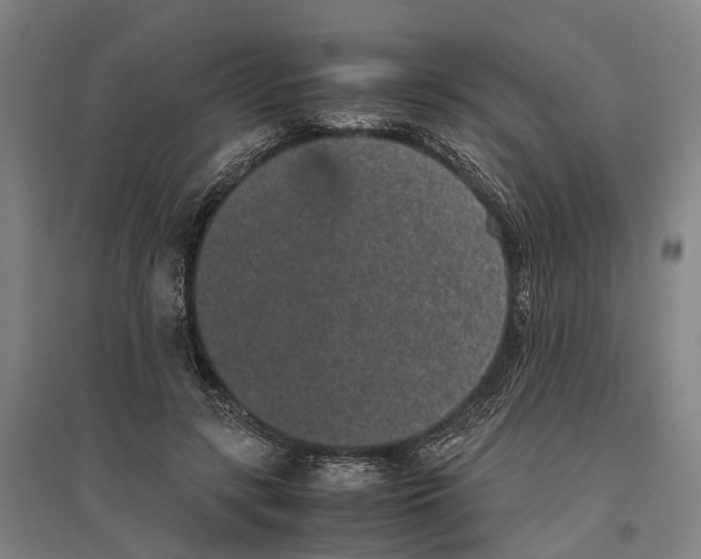 X0000096650547200803041151