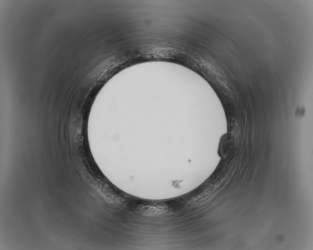 X0000096650548200803041151