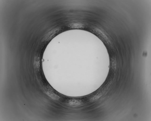 X0000096650549200803041151