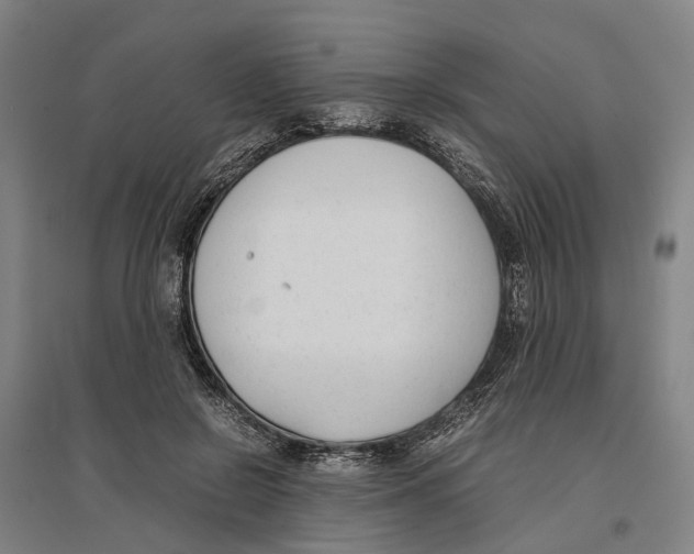 X0000096650550200803041151