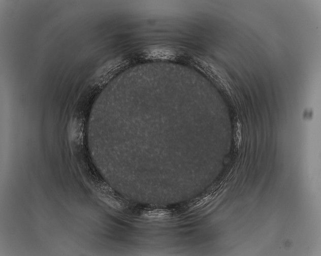 X0000096650551200803041151