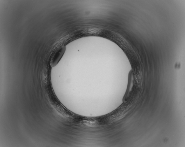 X0000096650552200803041151