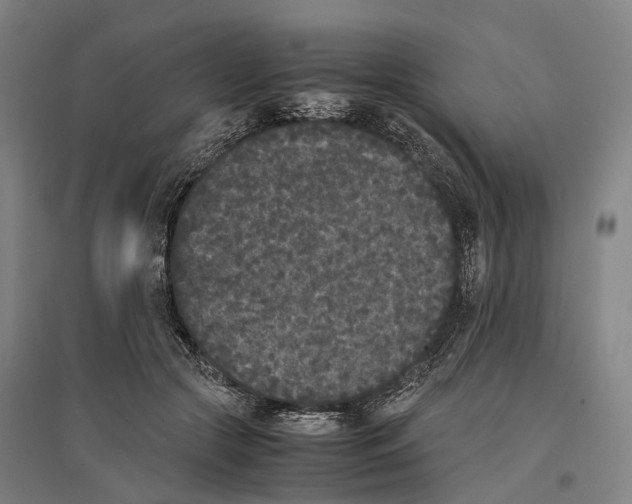 X0000096650553200803041151