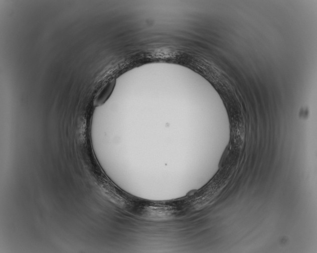 X0000096650556200803041151