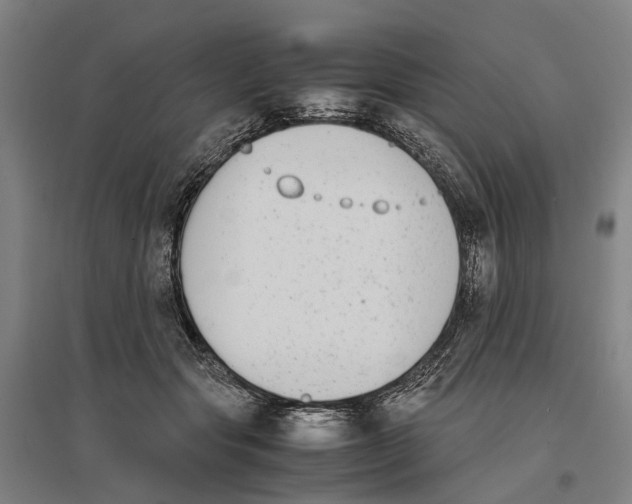 X0000096650557200803041151