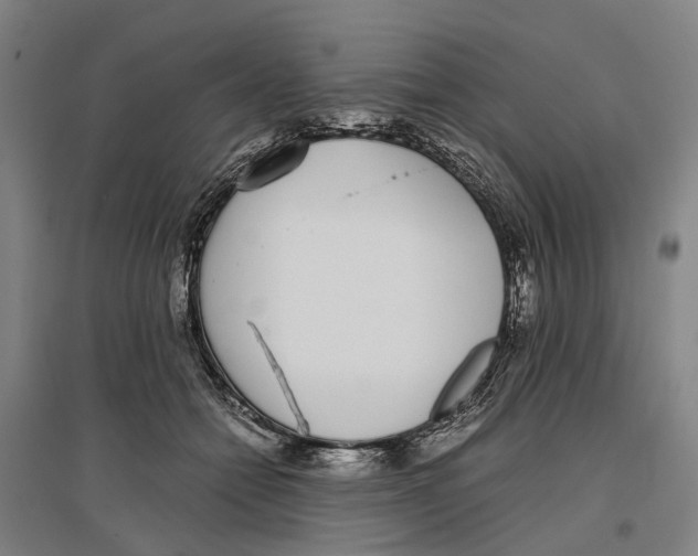 X0000096650558200803041151