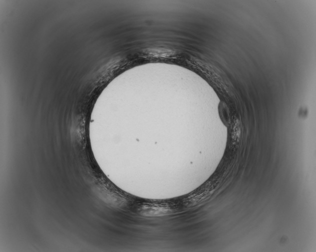 X0000096650559200803041151