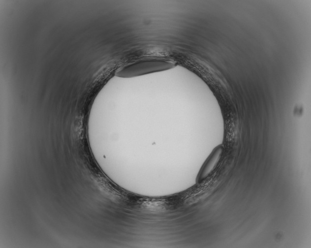 X0000096650560200803041152