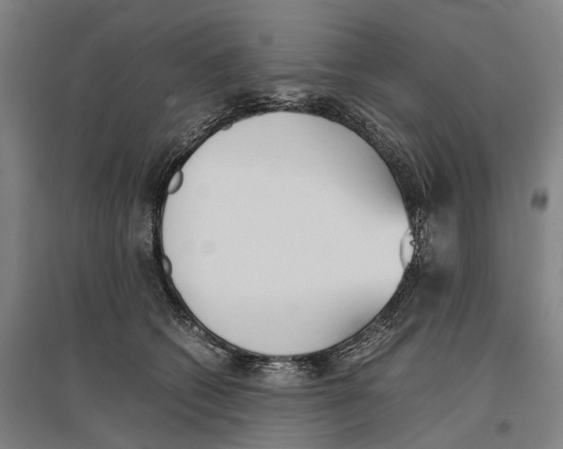 X0000096650562200803041152