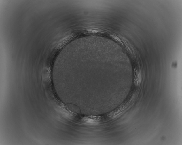 X0000096650563200803041152