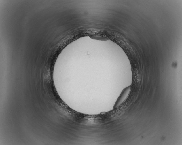 X0000096650564200803041152