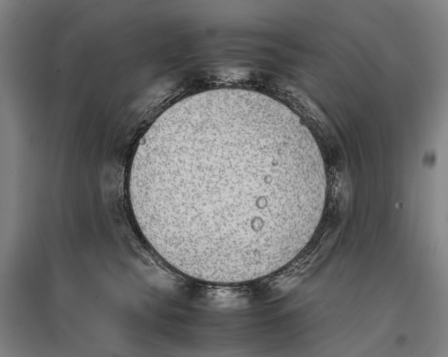 X0000096650565200803041152