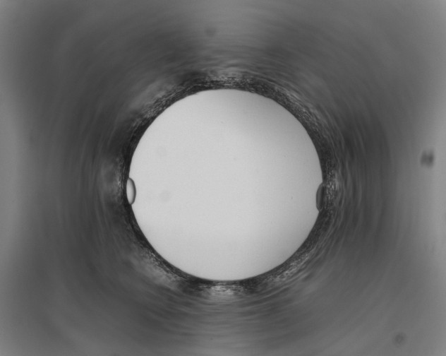 X0000096650566200803041152