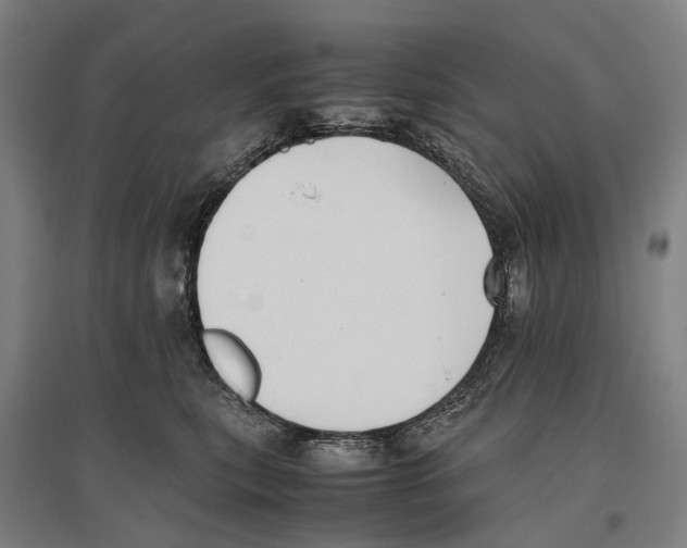 X0000096650567200803041152