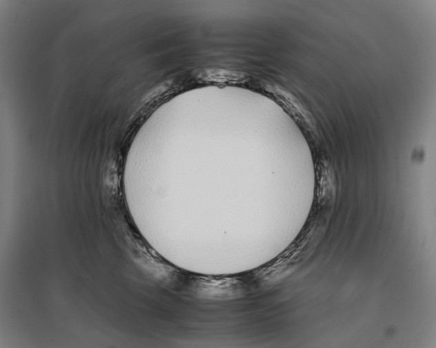 X0000096650569200803041152