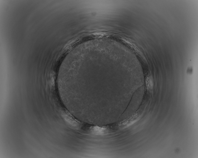 X0000096650570200803041152