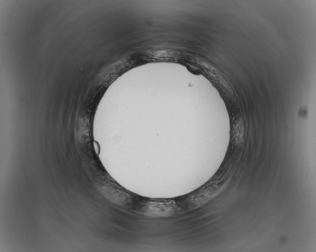 X0000096650571200803041152