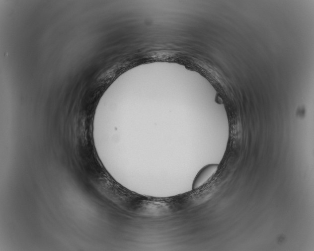 X0000096650572200803041152