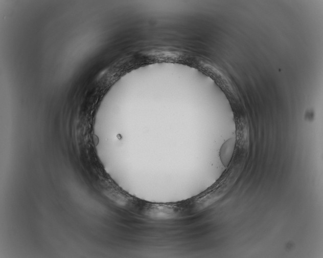 X0000096650573200803041152