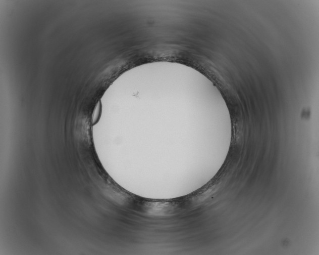 X0000096650575200803041152