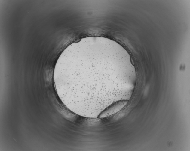 X0000096650576200803041152