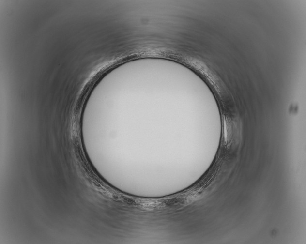 X0000096650579200803041151