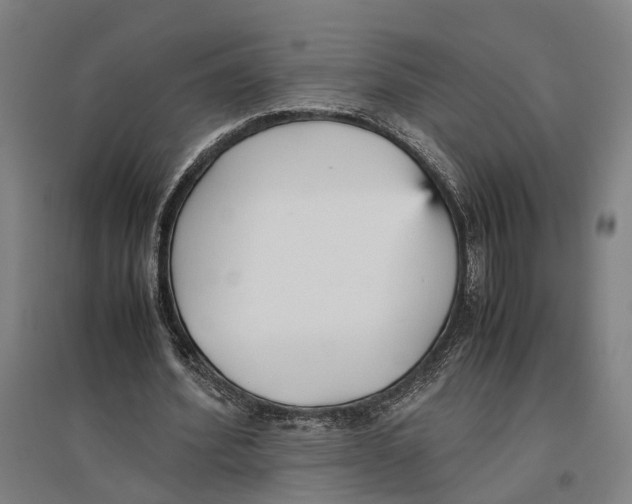 X0000096650580200803041151