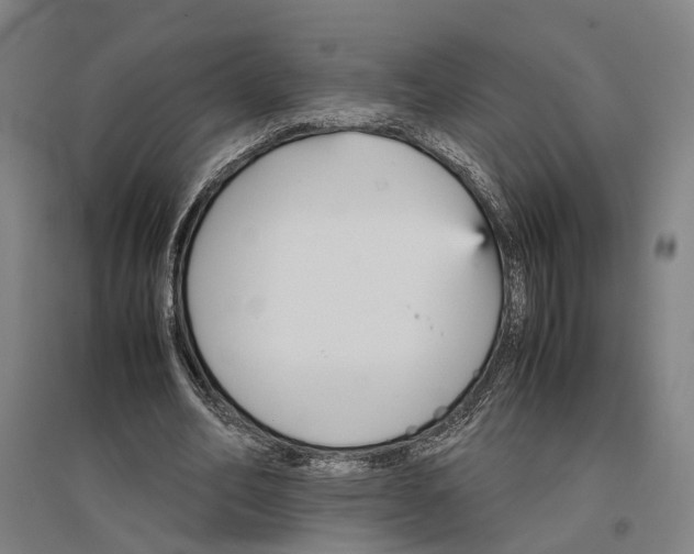 X0000096650582200803041151