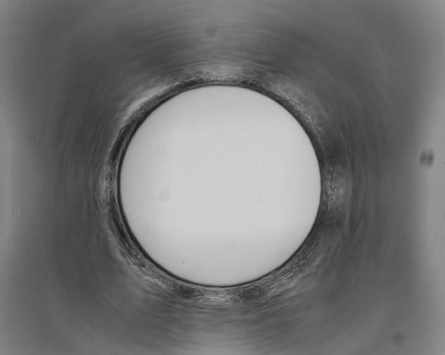 X0000096650583200803041151