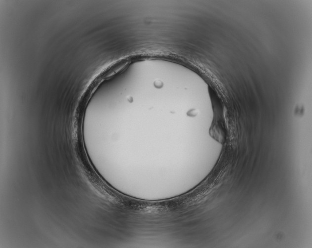 X0000096650584200803041151