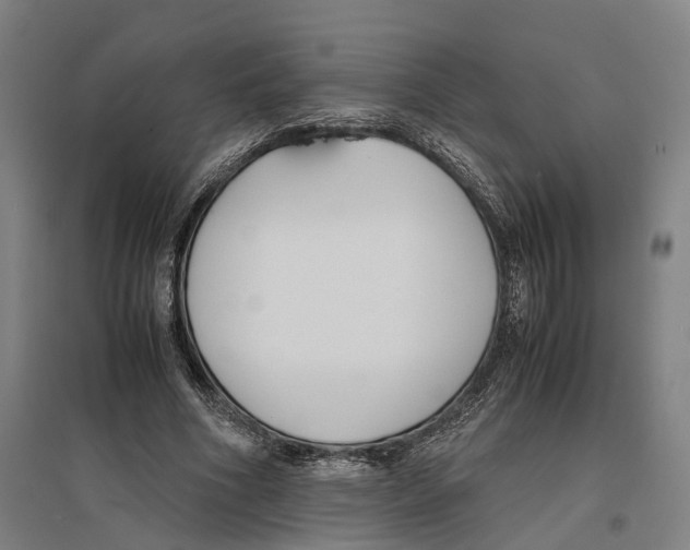 X0000096650586200803041151