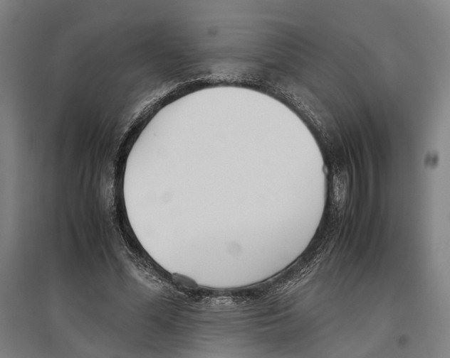 X0000096650588200803041151