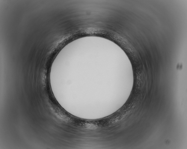 X0000096650592200803041151