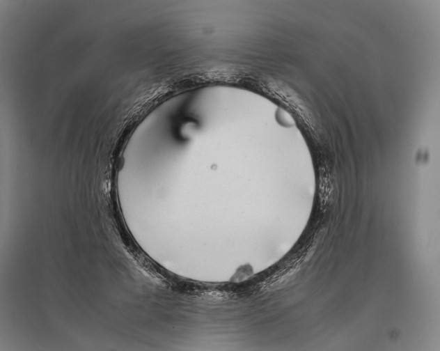 X0000096650593200803041151