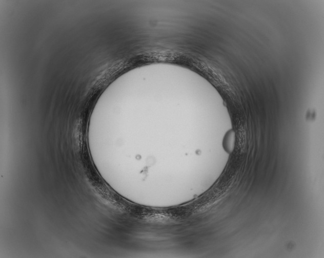 X0000096650594200803041151