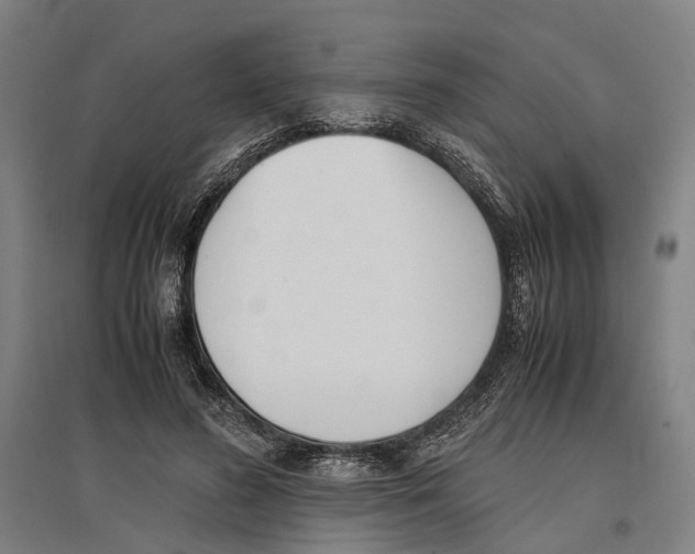 X0000096650596200803041151