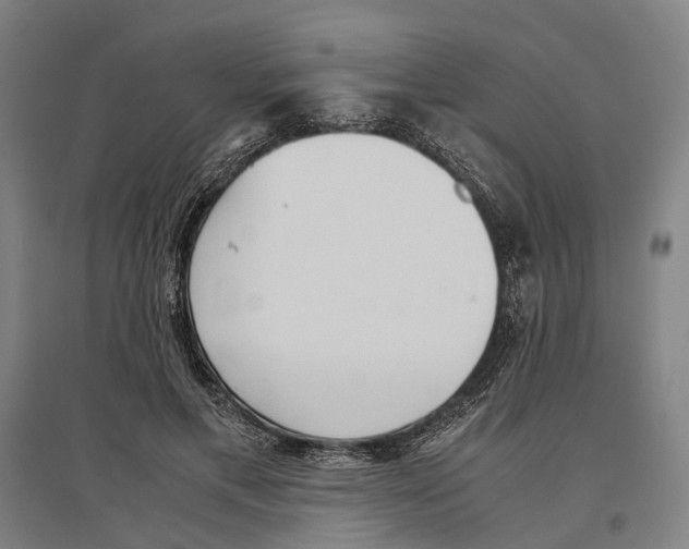 X0000096650597200803041151