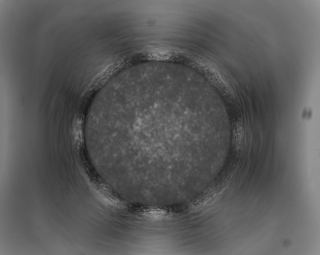 X0000096650598200803041151