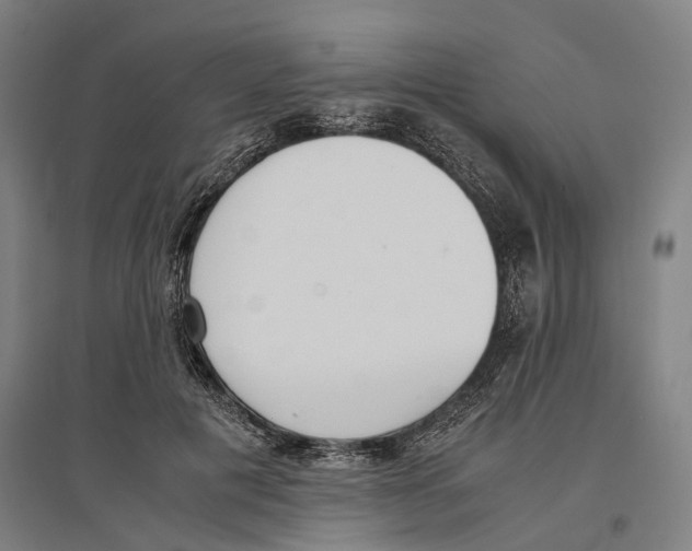 X0000096650601200803041151