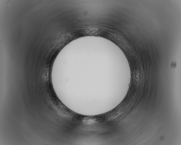 X0000096650602200803041151