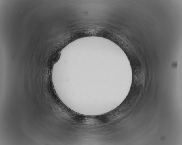 X0000096650605200803041151