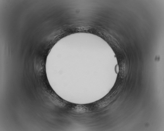 X0000096650608200803041151